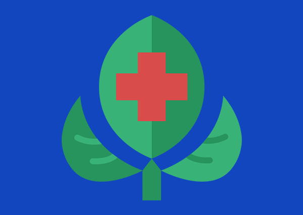 Healing Plants – UK wild herbs, traditional remedies, and forgotten natural medicine